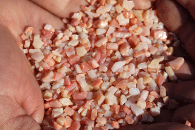 salmon pink 0305 3