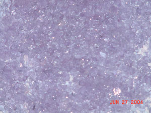 neo lavendar 300