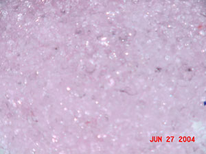 pink 300